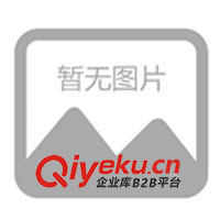 充電器，頭燈充電器，礦燈充電器 電池充電器(圖)